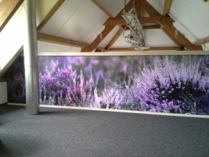 Behang-in-opdracht-van-staatsbosbeheer