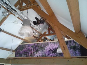 Behang-in-opdracht-van-staatsbosbeheer2