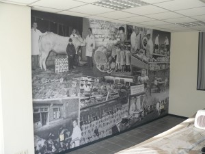 Behang-uit-een-stuk-afm.-450-x-250-cm